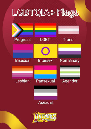 LGBTQIA+ Flags Poster